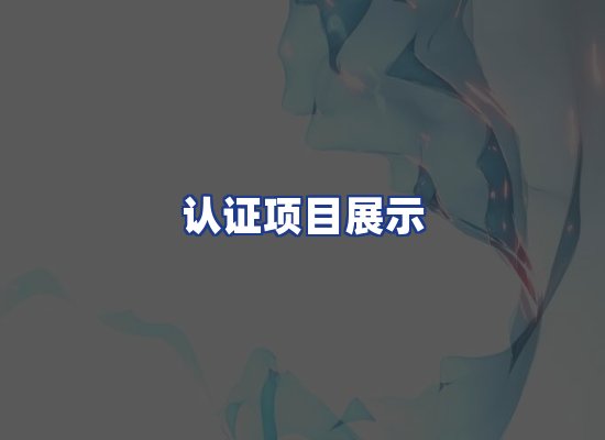 认证项目展示